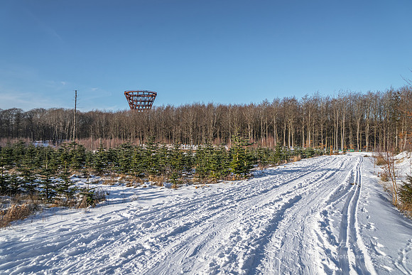 The Forest Tower