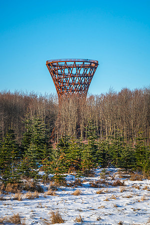 The Forest Tower