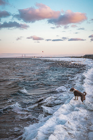 Amager Strandpark