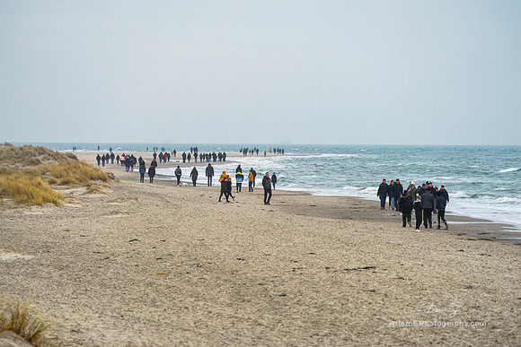 Strand Grenen