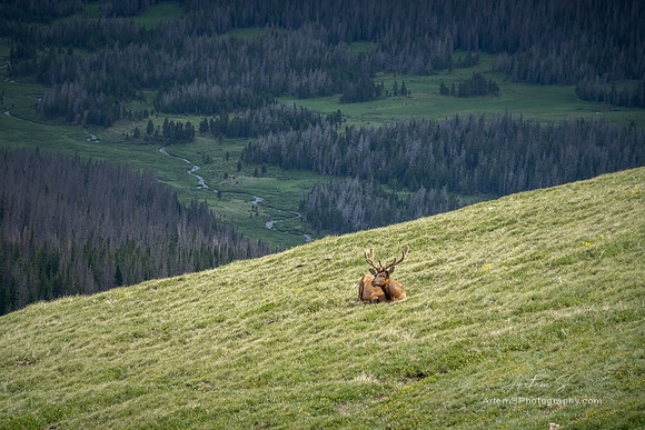 Marmot Point Trail