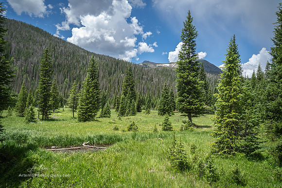 Colorado River Trailhead
