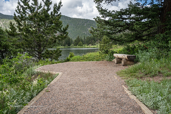 Lily Lake