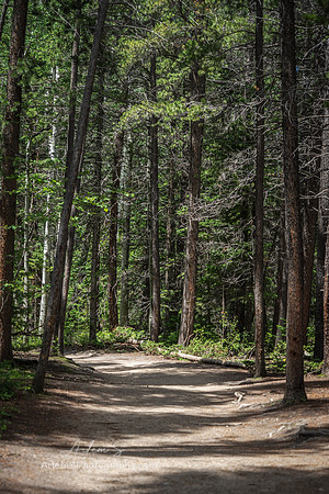 Wild Basin Trailhead