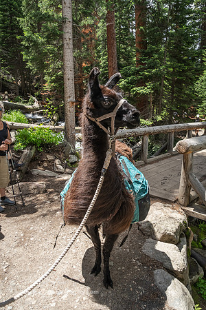 Wild Basin Trailhead