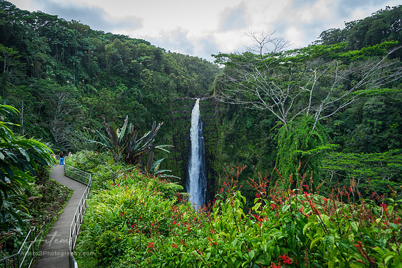 Akaka Falls State Park