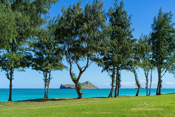Waimanalo Beach