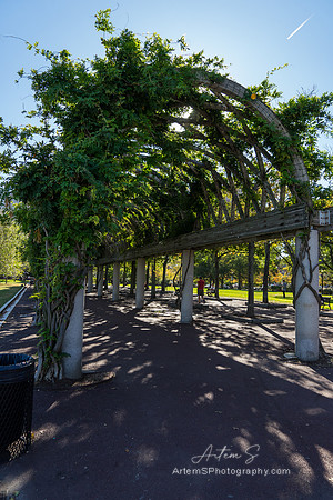 Trellis at Christopher Columbus park