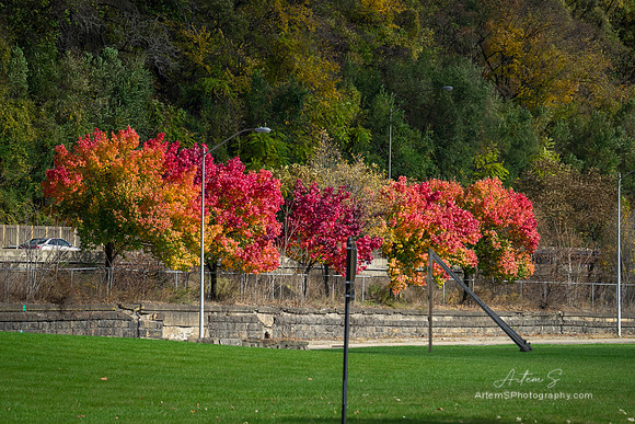 Colors of Autumn