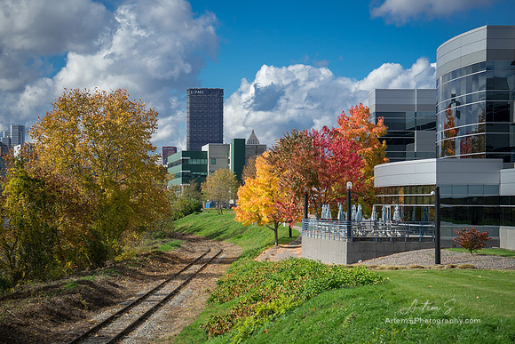 Colors of Autumn