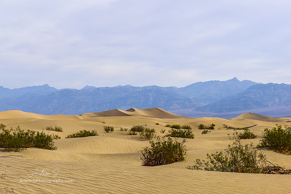 Mesquite Flat Sand Dunes