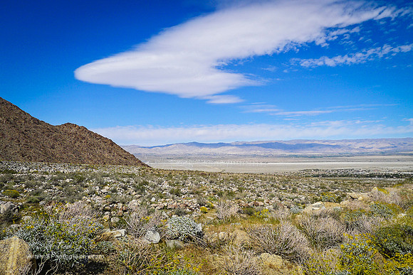 North Palm Springs