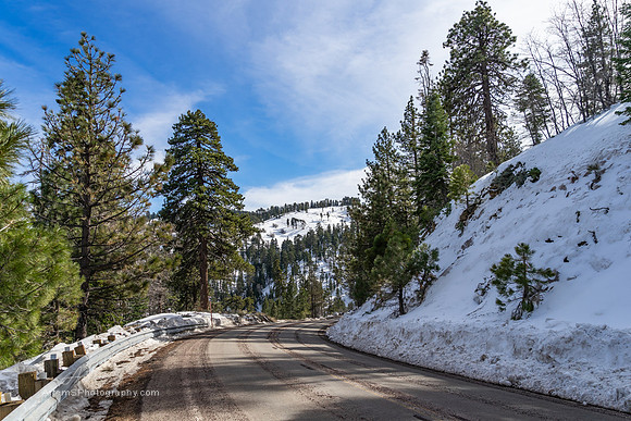 Big Pines