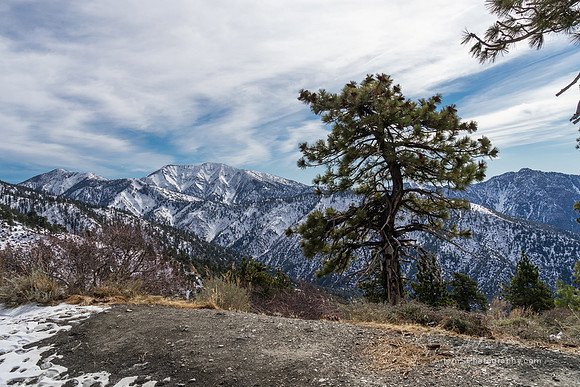 Big Pines