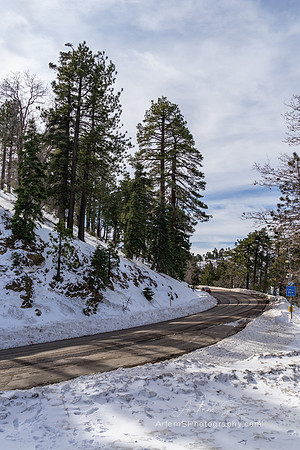 Big Pines