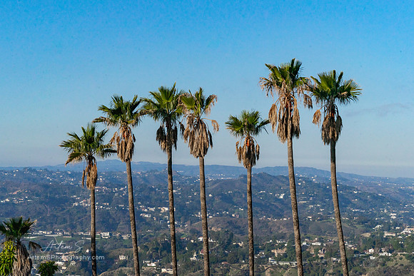 Griffith Park