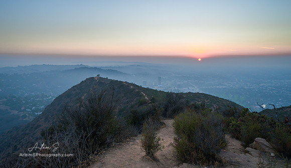Griffith Park, Wisdom Tree