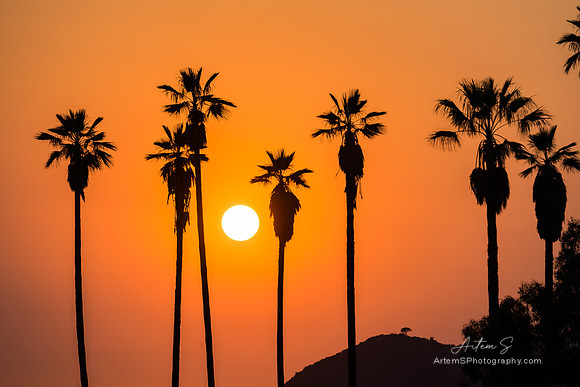 Griffith Park