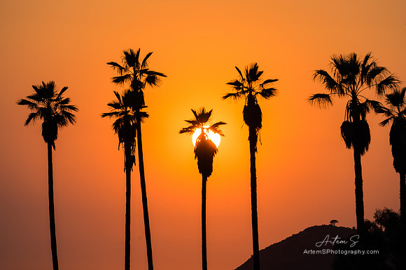 Griffith Park