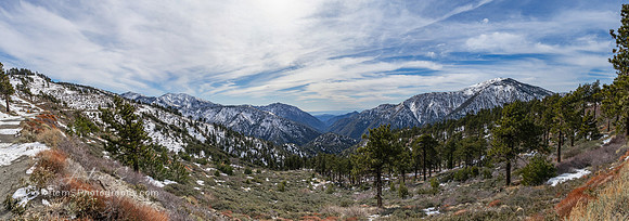 Big Pines