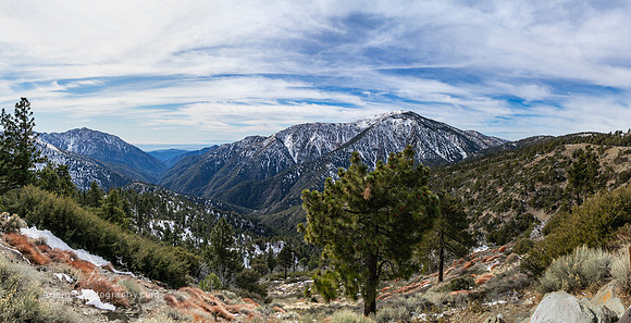 Big Pines