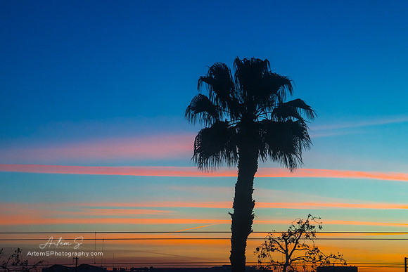 Sunrise