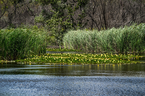 Malibu Creek State Park