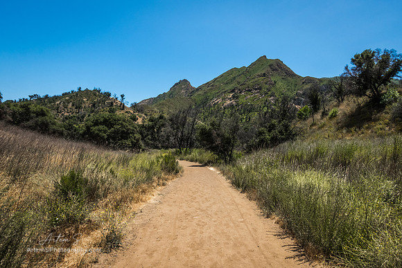 Malibu Creek State Park