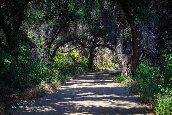 Malibu Creek State Park