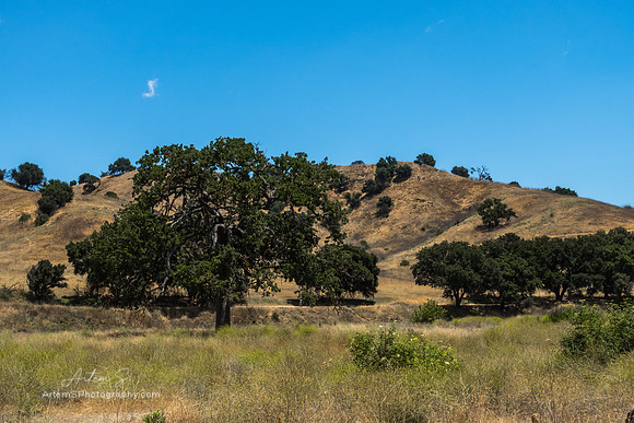 Malibu Creek State Park