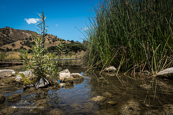 Malibu Creek State Park