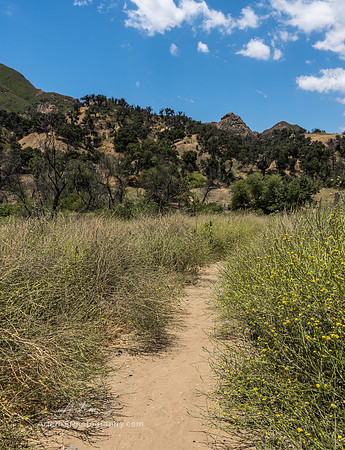 Malibu Creek State Park