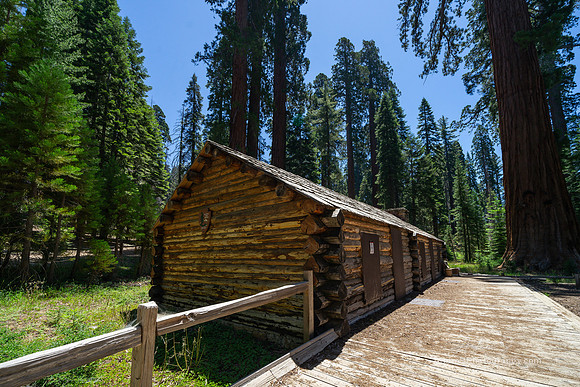 Mariposa Grove