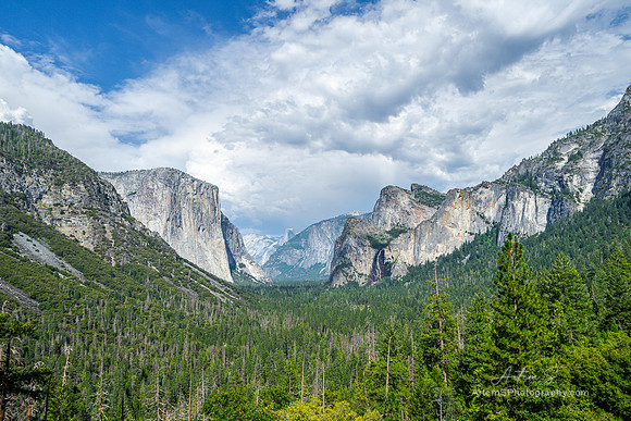 Tunnel view