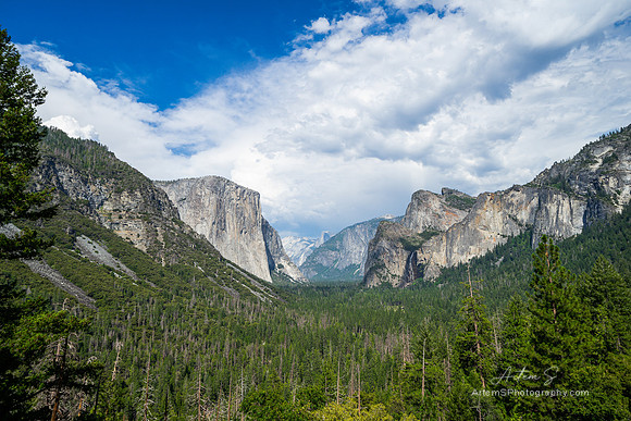 Tunnel view