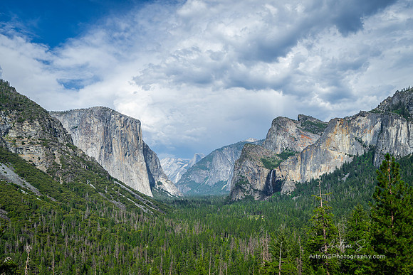 Tunnel view