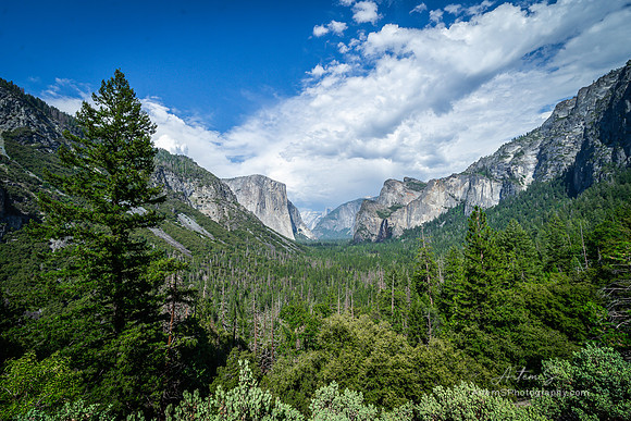 Tunnel view