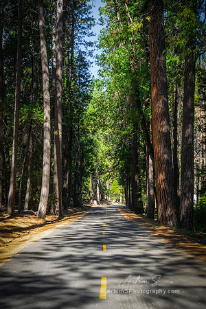 Yosemite Valley