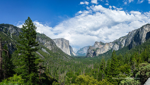 Tunnel view