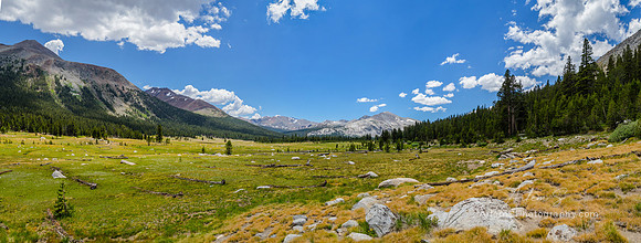 Dana Meadows