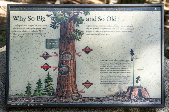 Why so big and so old.