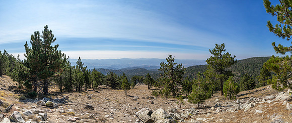 Frazier Park