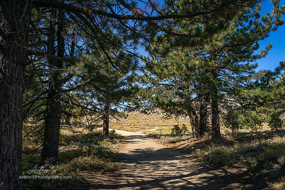 Frazier Park
