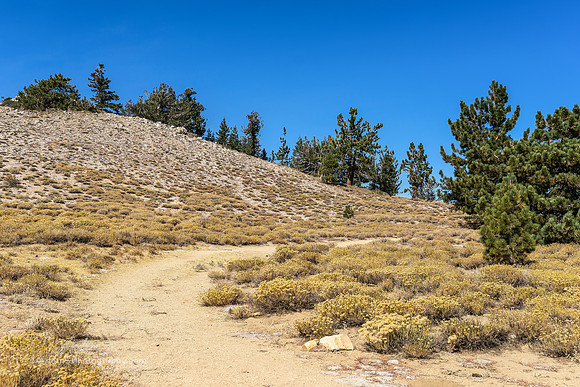 Frazier Park