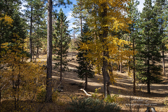 Big Bear Lake, CA