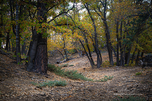 Big Bear Lake, CA