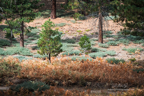 Big Bear Lake, CA