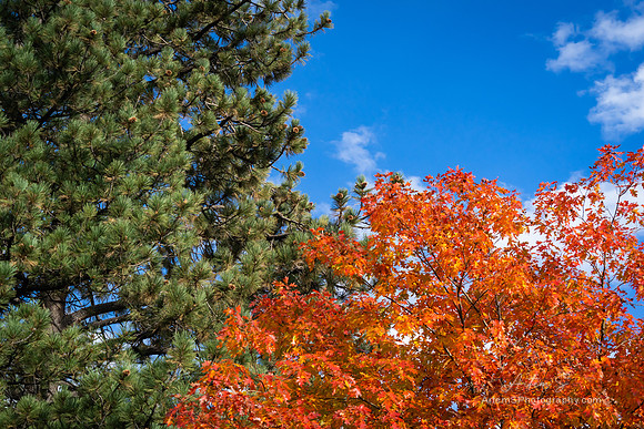Big Bear Lake, CA