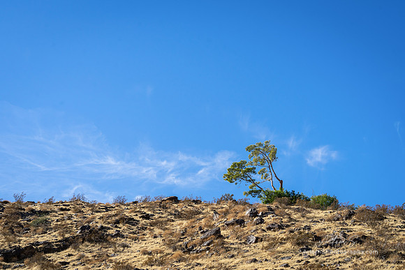 Near Palm Springs