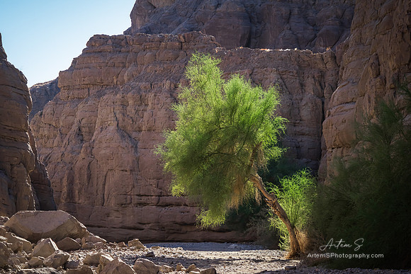Painted Canyon Trailhead